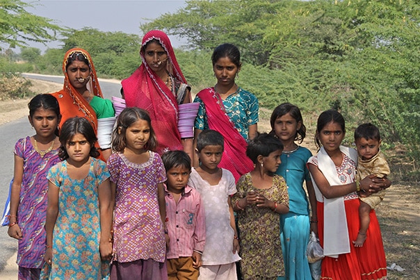 India Custom Trips