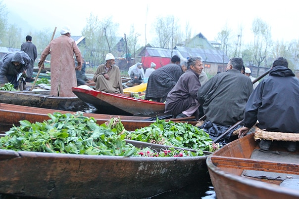 Time to Visit Kashmir, India