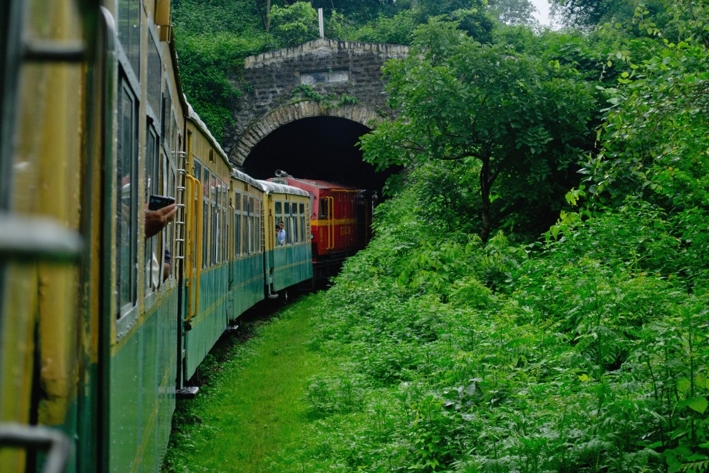 Himalayan_Queen courtesy of Wikipedia