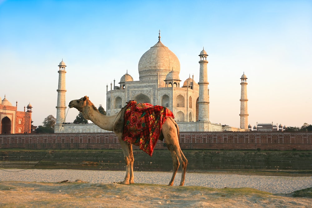 The Best Times to Visit North India