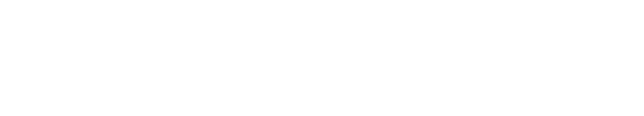 Geringer Global Travel