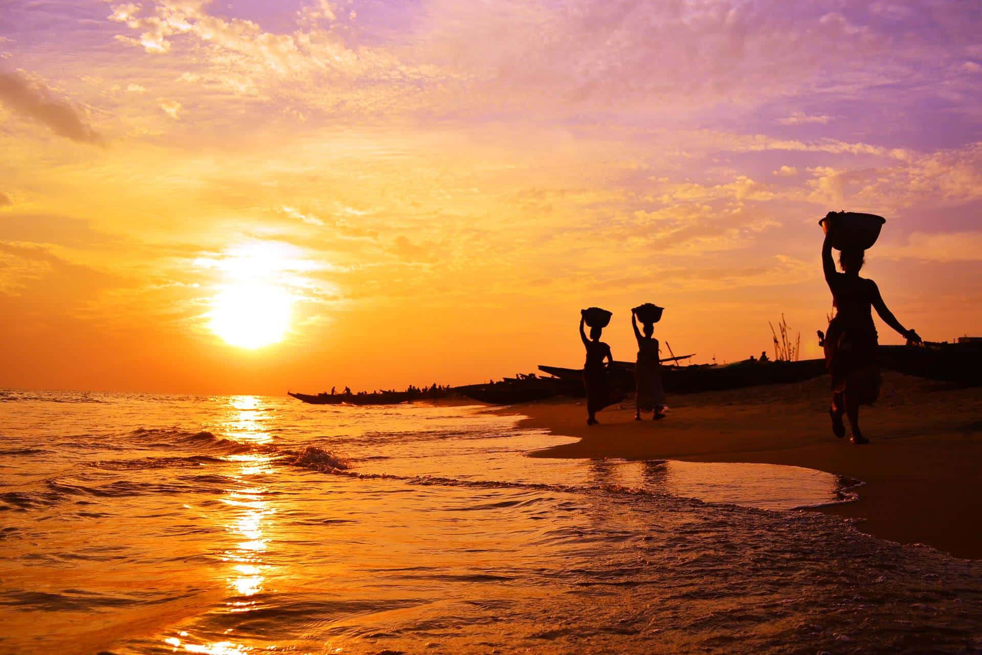 The best things to do in Kerala